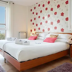 book here